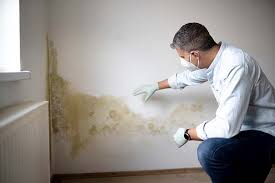 Trusted North Wildwood, NJ Mold Prevention & Removal  Experts